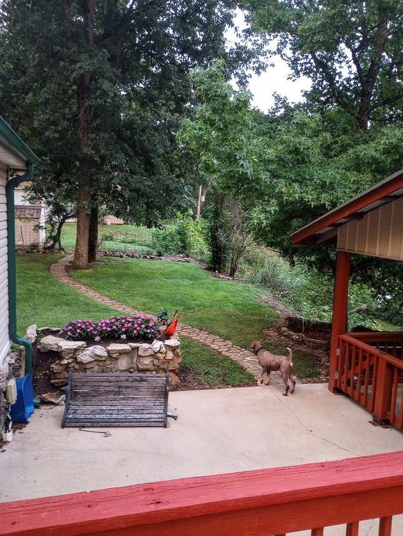 IMG_20230806_062555111~2