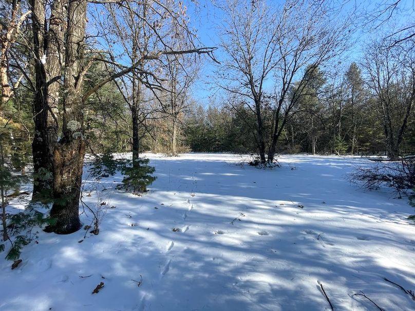 Adams 25, Nessler -51