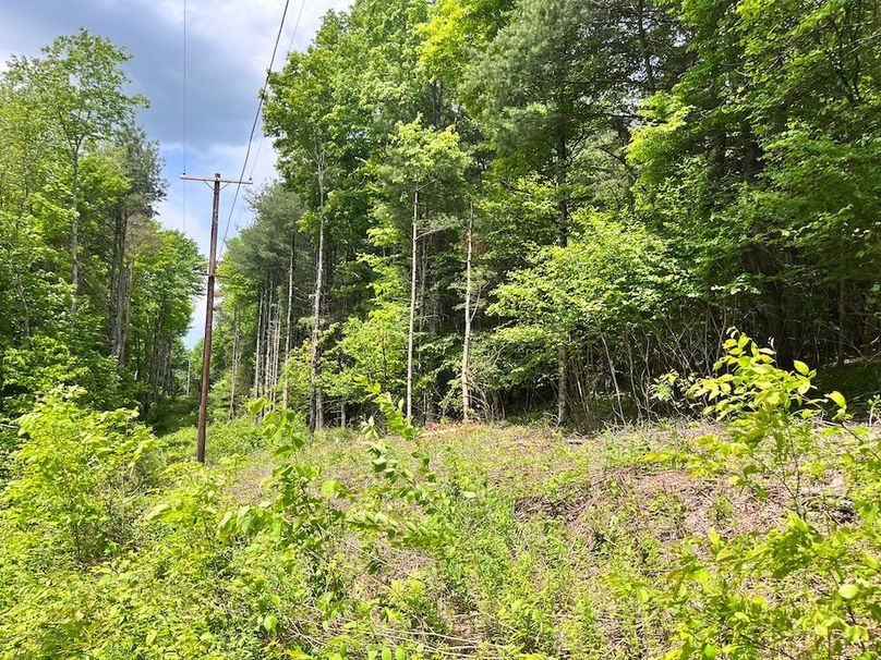 Tioga_78_Biada_Photos_80