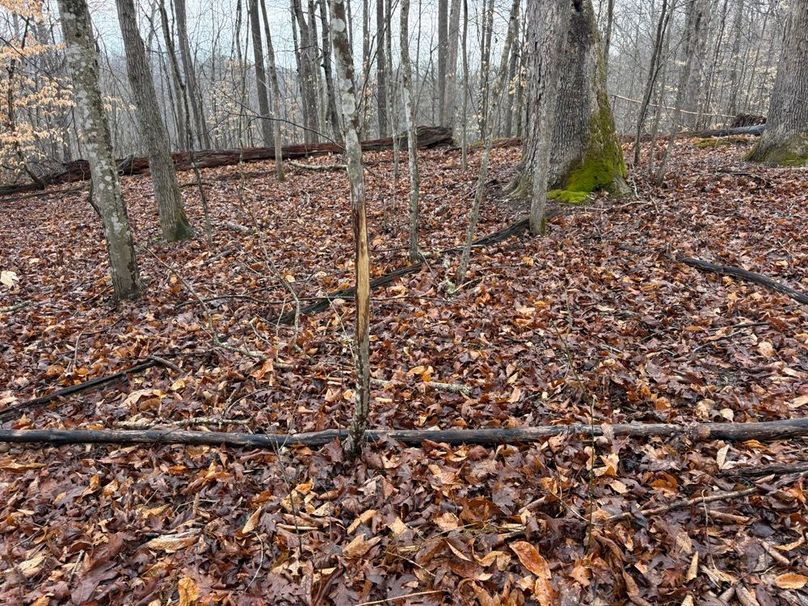 007 some pretty good deer sign in different places on the farm