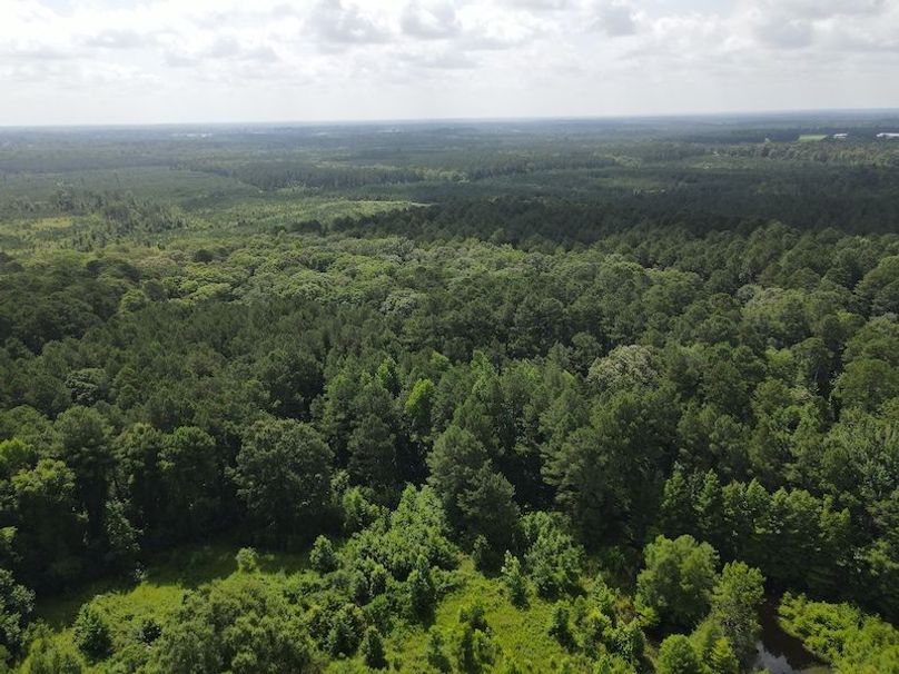 DJI_0339