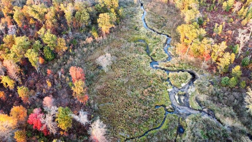 dji_fly_20241011_174950_451_1728687445680_photo_optimized 2