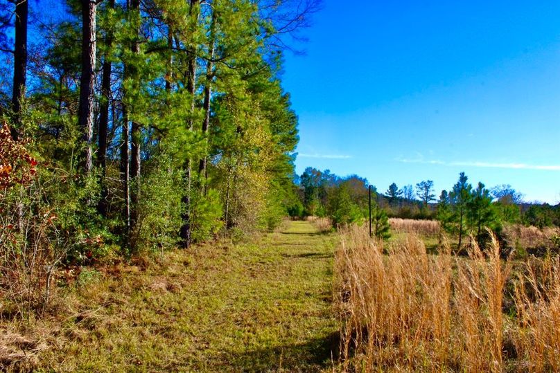 5E997FE1-1D7C-4D7E-A46A-64EDF6FE1516_1_201_a-2