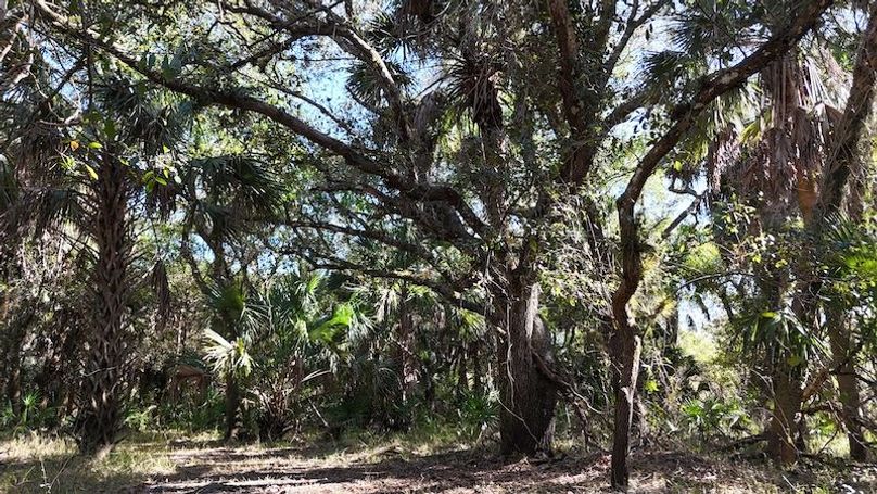 DJI_20260221152235_0358_D