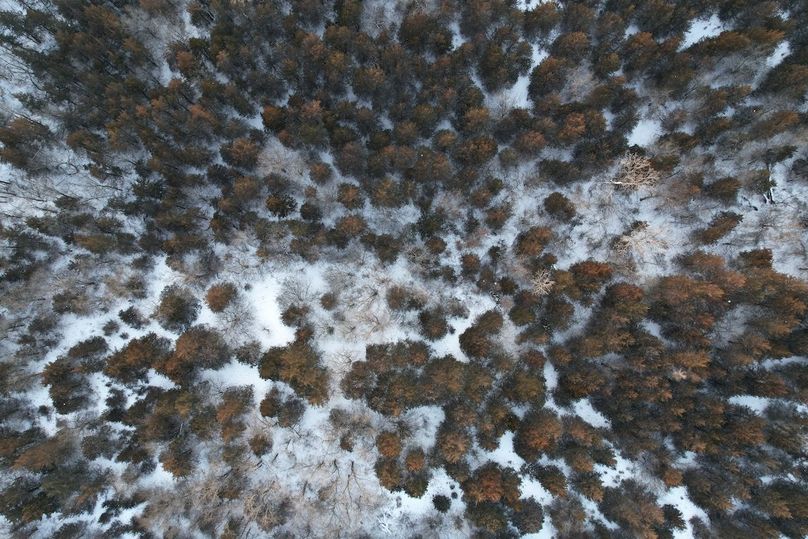 DJI_0555