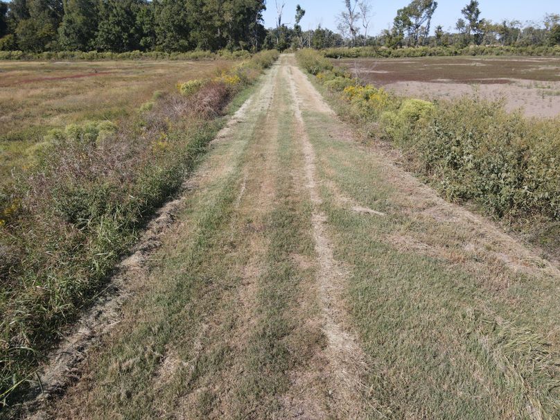 7C9C819D-9C45-4555-8994-D0C3EE8D7BB8