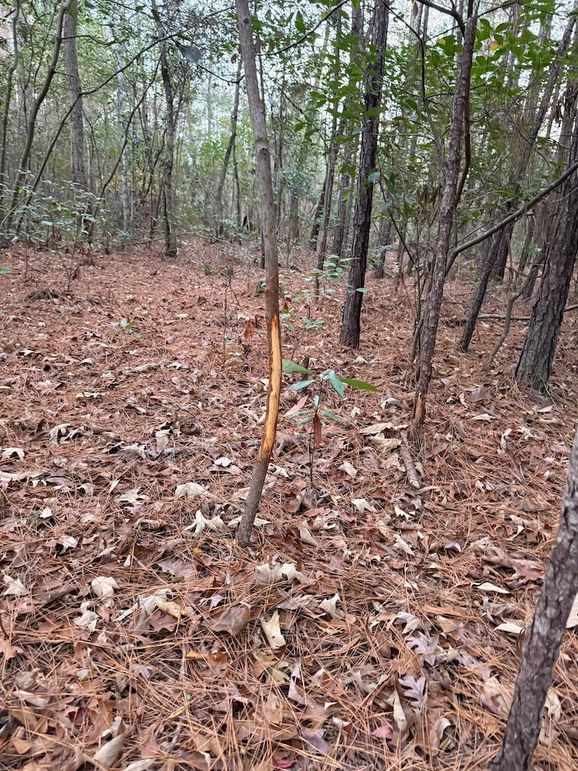 A8E6DA38-4D3A-4A4E-B47A-45F9B6DC09FB