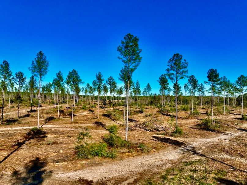 D22CBC05-2B59-4AF9-8190-AF0A062A595E_1_201_a