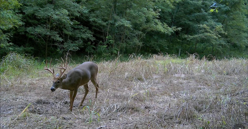 Screenshot 2025-09-24 at 2.59.27 PM