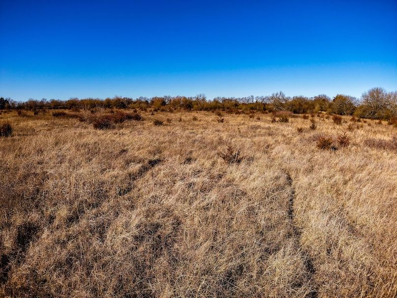 DJI_20260119145204_0842_D