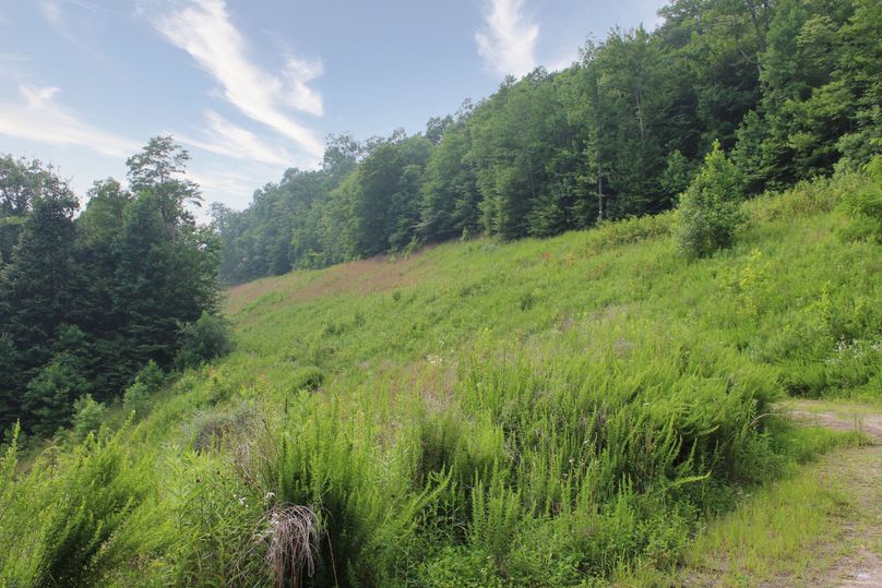 019 beautiful upper level transition slope