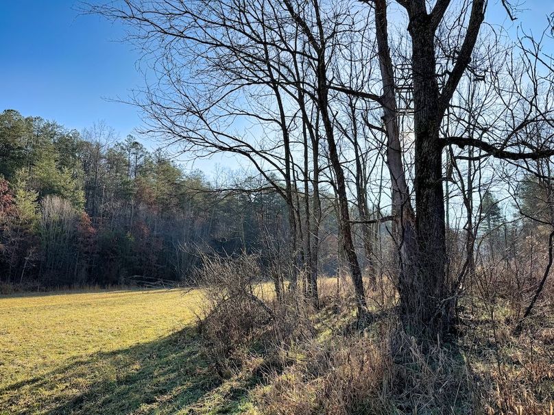 004 cool brisk morning with the sun coming up