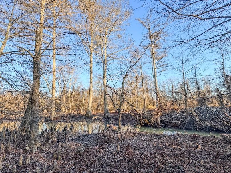 St. Francis 138.5 Calvin Parker Farms Profile -18