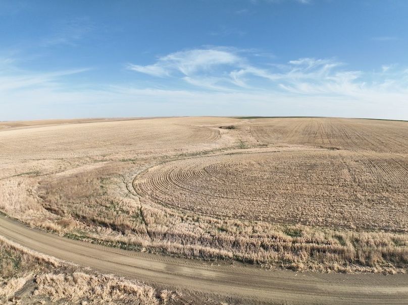 DJI_0387