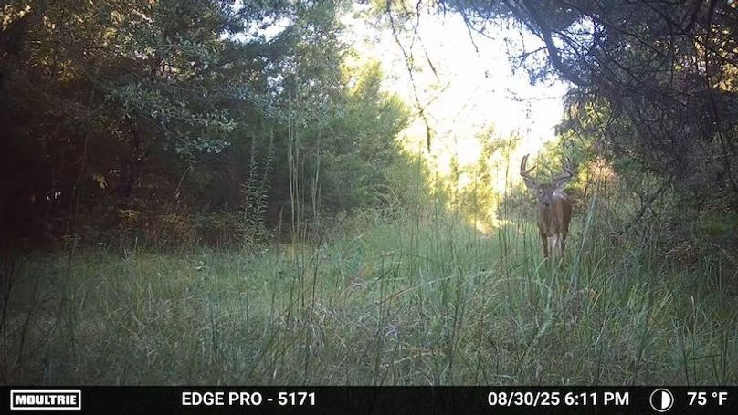 Temp_1993920-20250830231202-pir_20250830_181118_2_24_0 copy