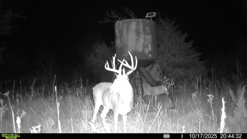 016578004503154-100-2-10172025204432-SYFW15421