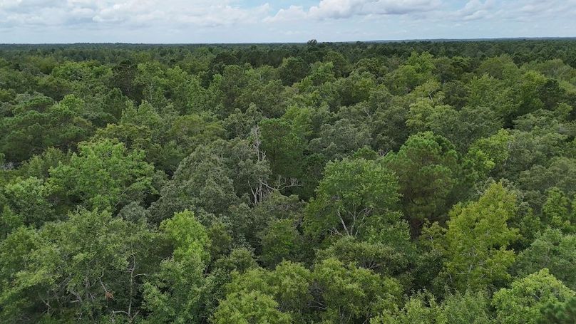 dji_fly_20250715_130758_0647_1752599372723_photo