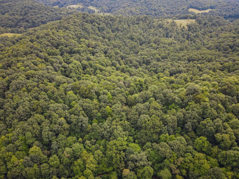 dji_fly_20230715_103302_878_1689431640253_photo