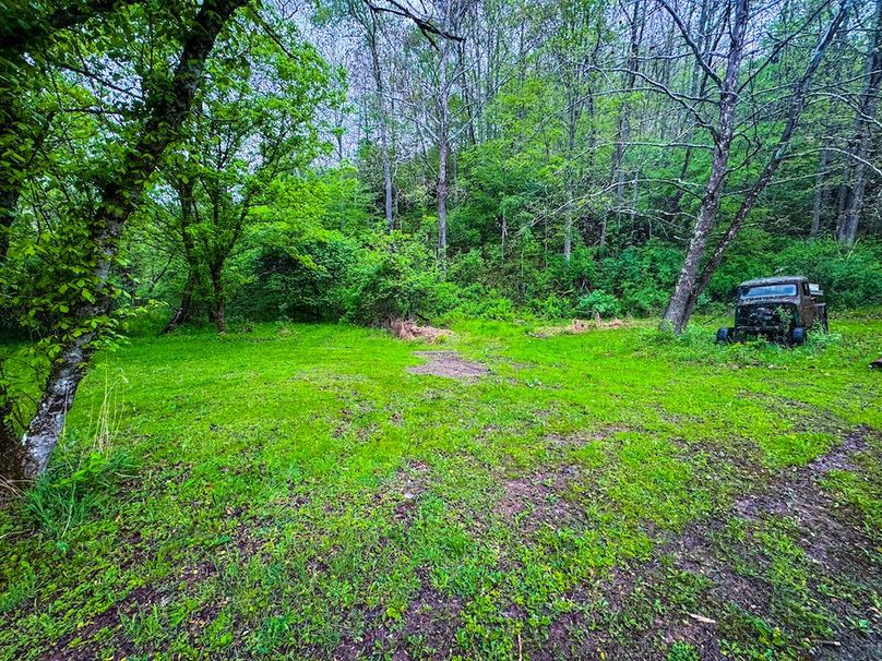 Lewis, WV 34.74 AC Graham-09
