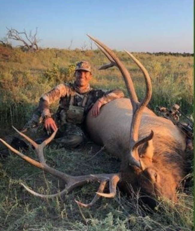 36.36 Bull elk