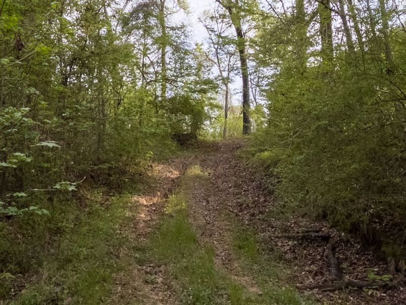 Claiborne Co-314-Fernandez-82