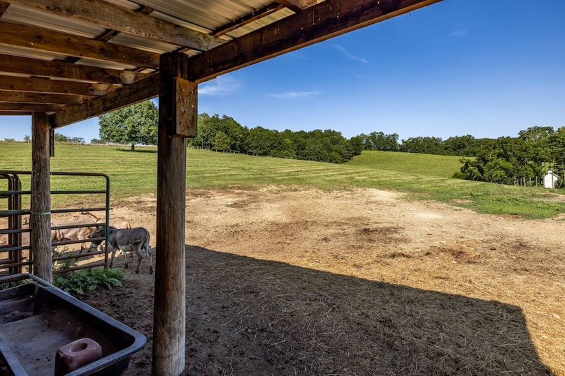 42-web-or-mls-IMG-40