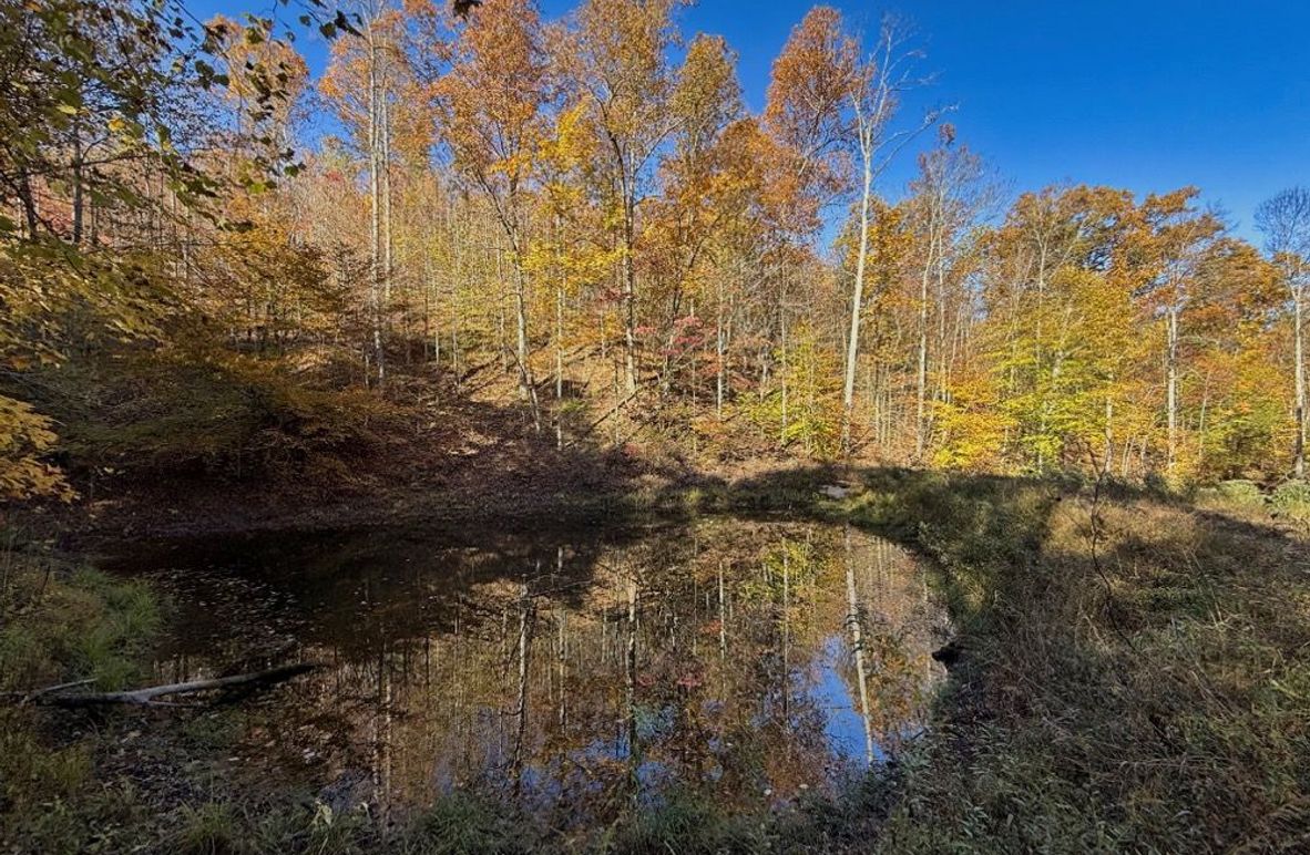 003 nice pond for wildlife and panfish-2