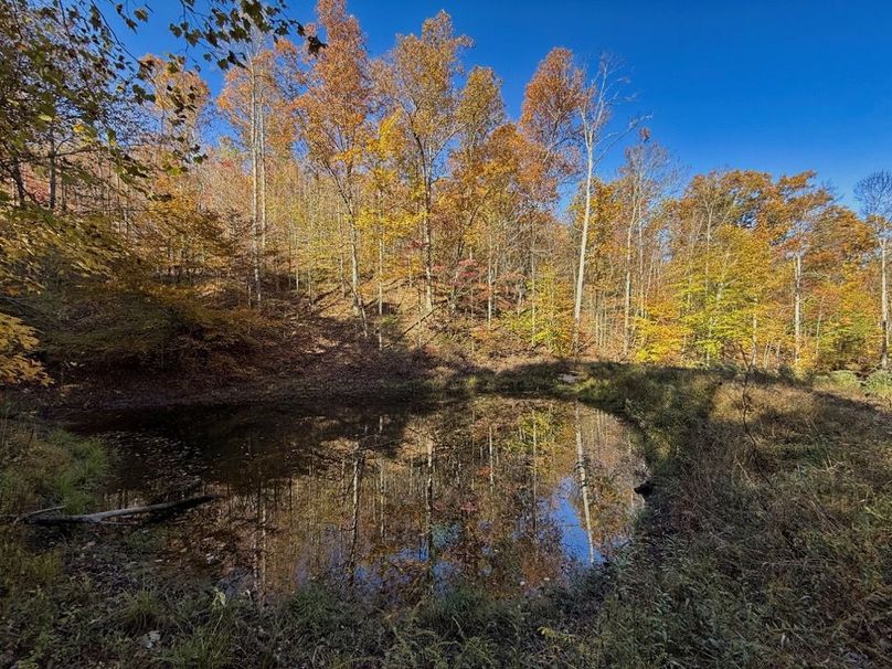 003 nice pond for wildlife and panfish-2