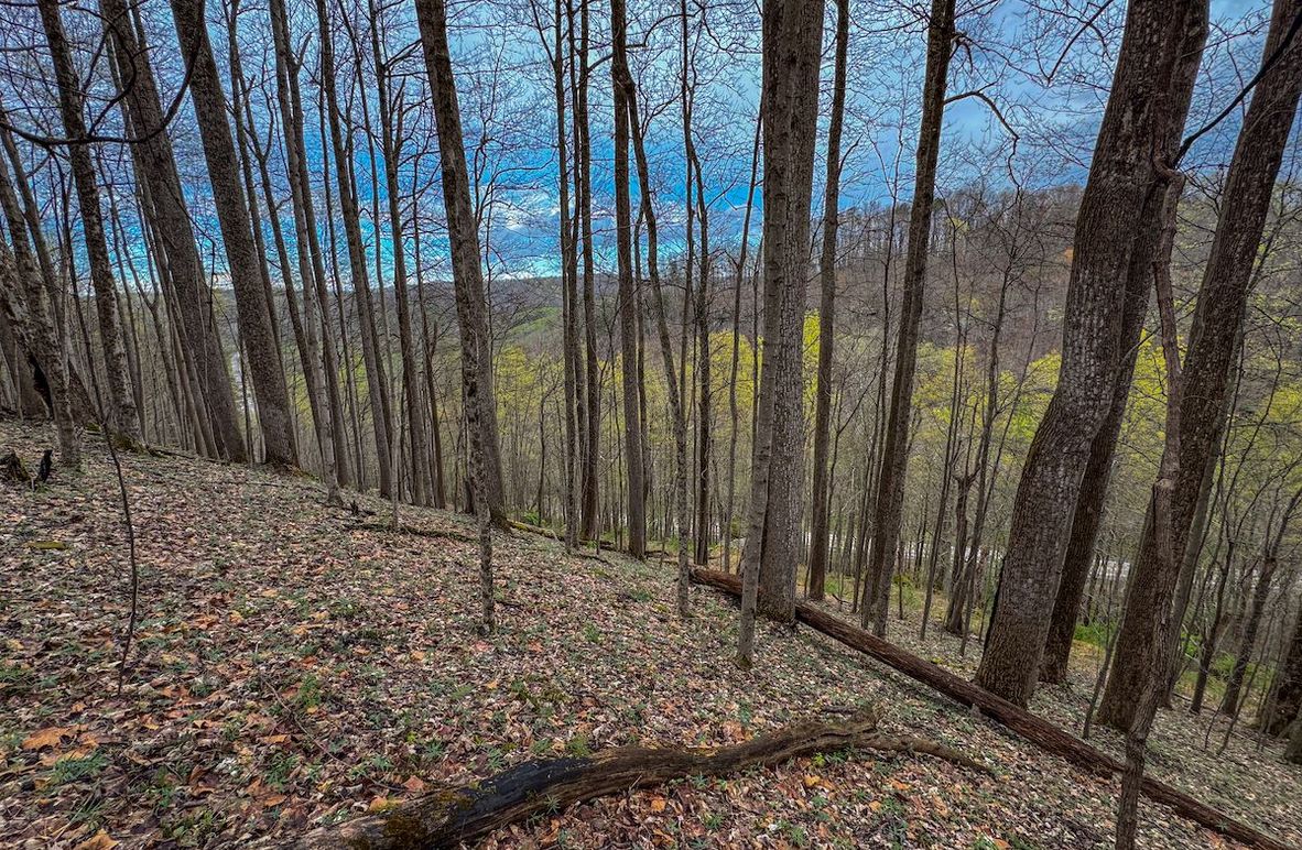 Wirt, WV 39.564 AC Full-01