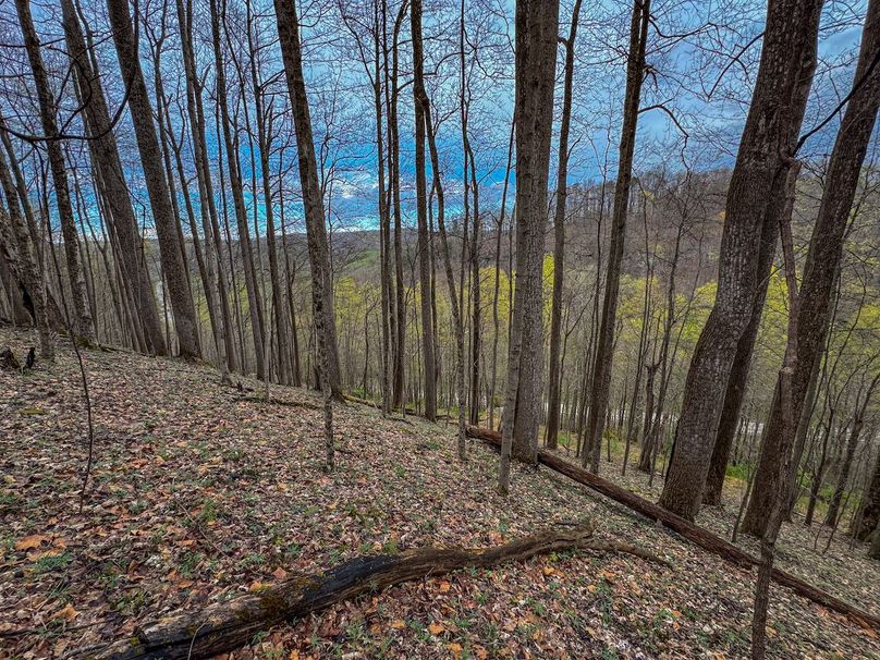 Wirt, WV 39.564 AC Full-01