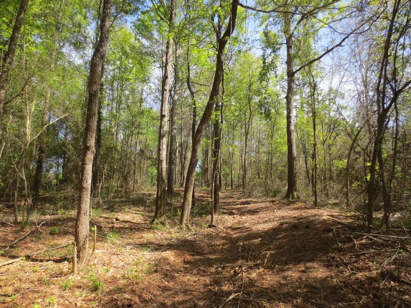 007B695D-4FE2-41C8-AA3E-F265F0346325_1_105_c