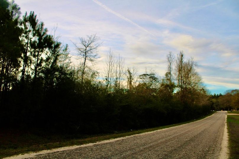 C7405F10-24E9-43E2-98A1-E8292647C967_1_105_c