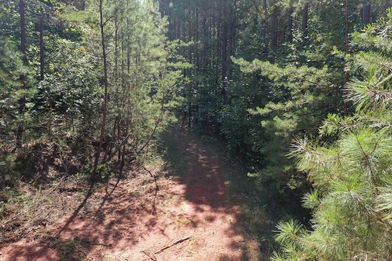 002_Internal Trail system