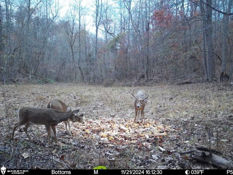 trail cam10