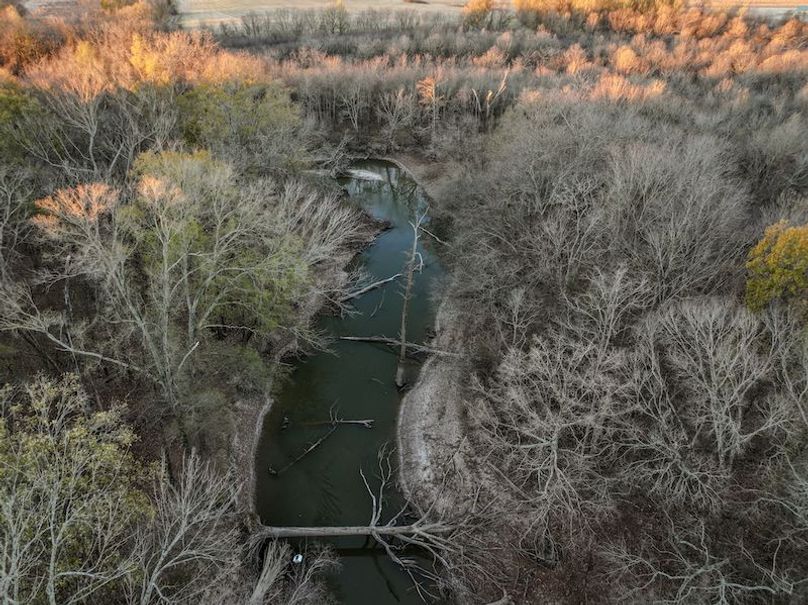 St. Francis 216.9 Calvin Parker Farms Profile -15