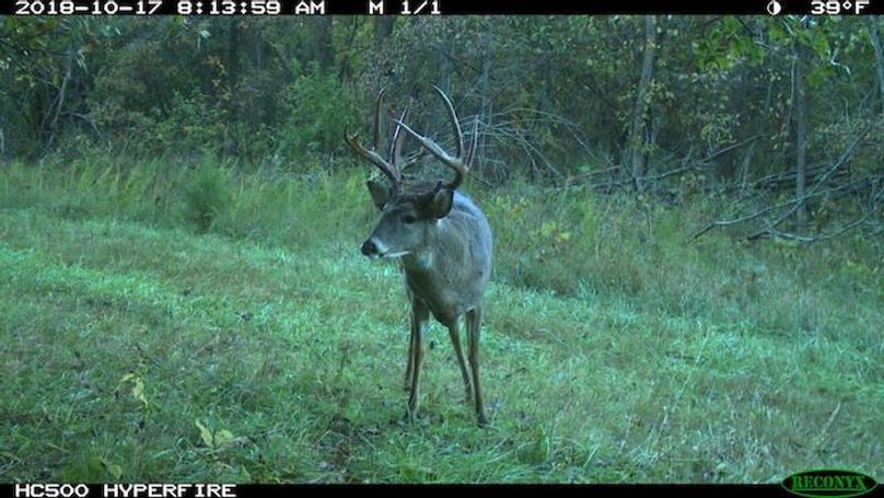 2018-10-17 08-13-59 M 1_1