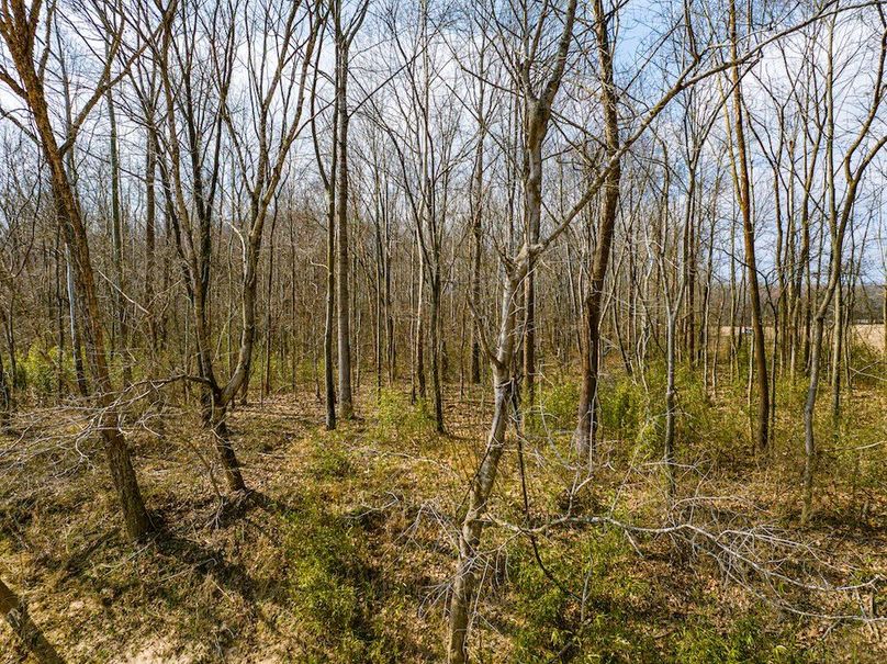 Gibson County Tract 2-09