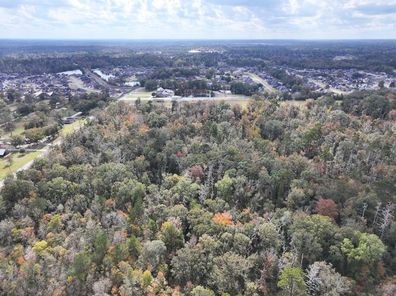 dji_fly_20251118_120824_0716_1763560724008_photo