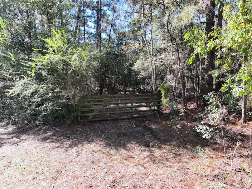 dji_fly_20251209_122828_0781_1765308492750_photo