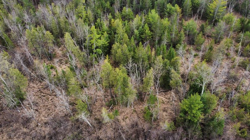 dji_fly_20230504_164700_398_1683236966468_photo_optimized