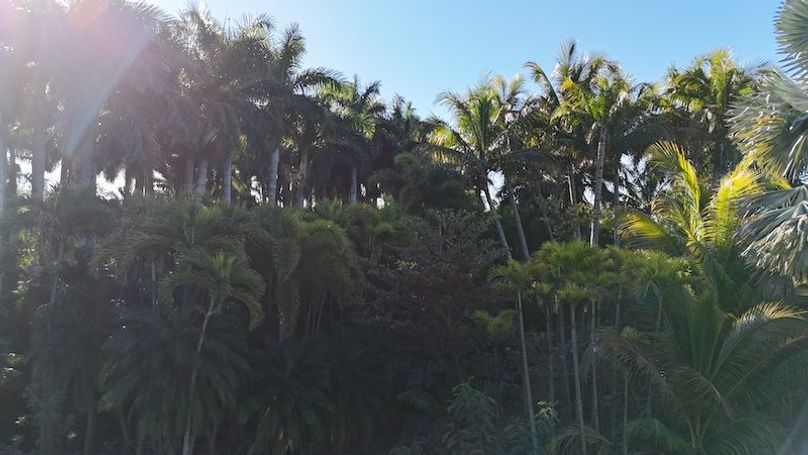 DJI_20260206090818_0253_D