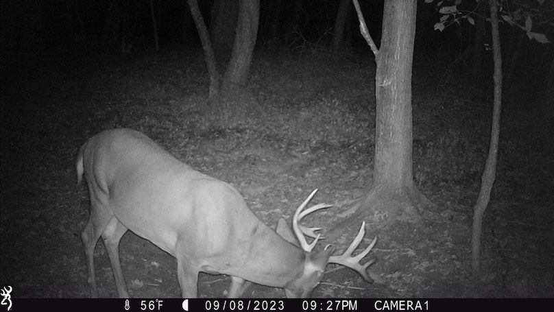Sauk 174 Trailcam - 36
