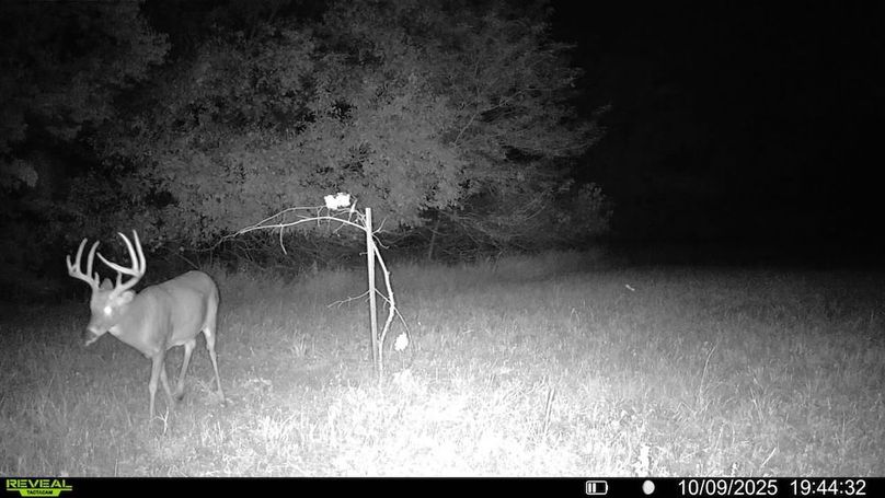 016579000173638-47-3-10092025194432-v-syfw08990