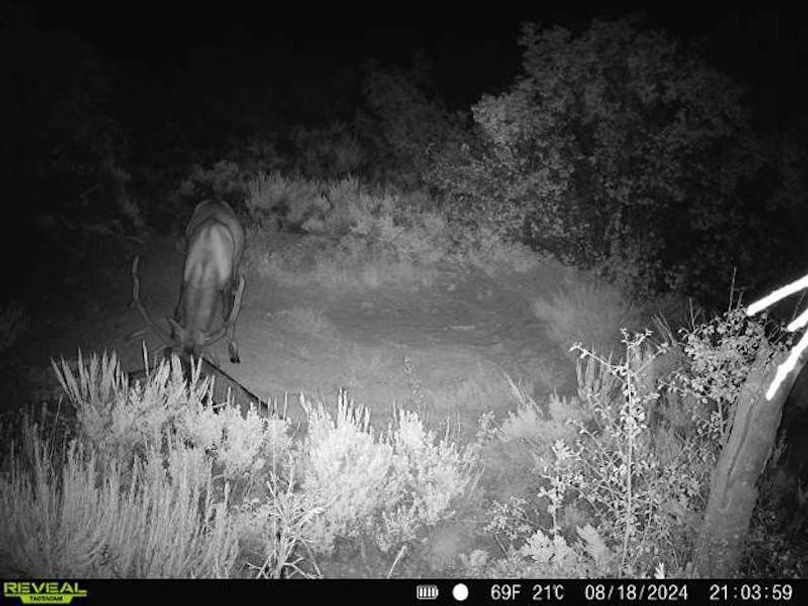 860516060007964-100-2-08182024210358-V-W1003196