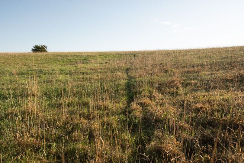 MONTGOMERY CO IA. 156.78_53
