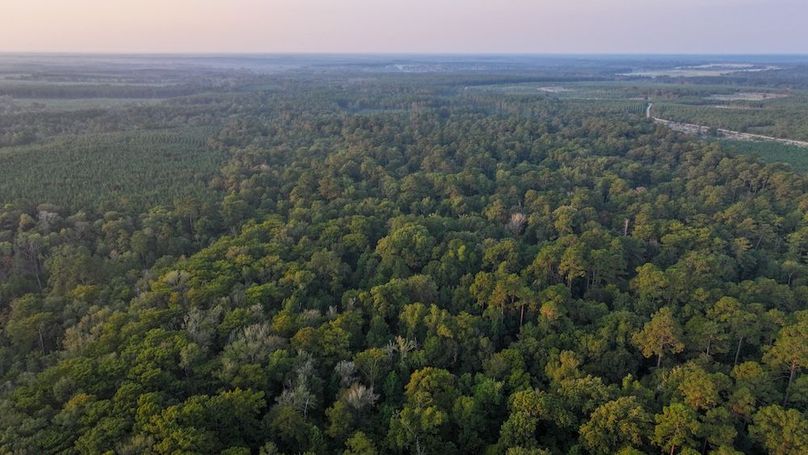 DJI_20250918071239_0042_D