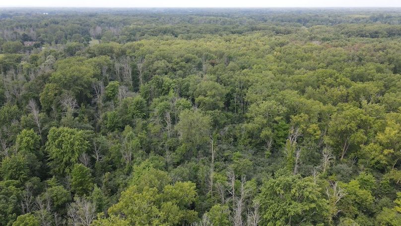 8 dji_fly_20240805_114640_527_1722872831519_photo