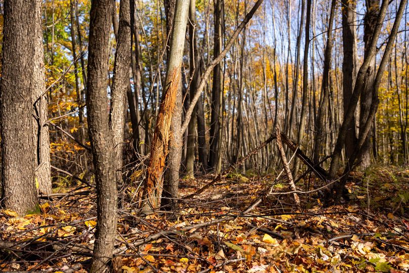 Elk PA 7000 Feature_Pro Photo-106