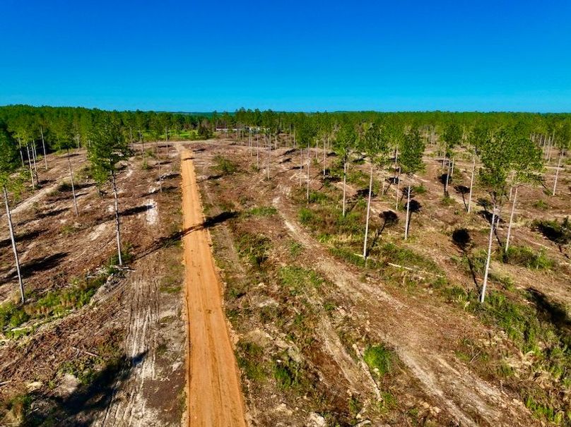 49A178E2-E534-40D8-9F01-E31FC0F67B0C_1_201_a