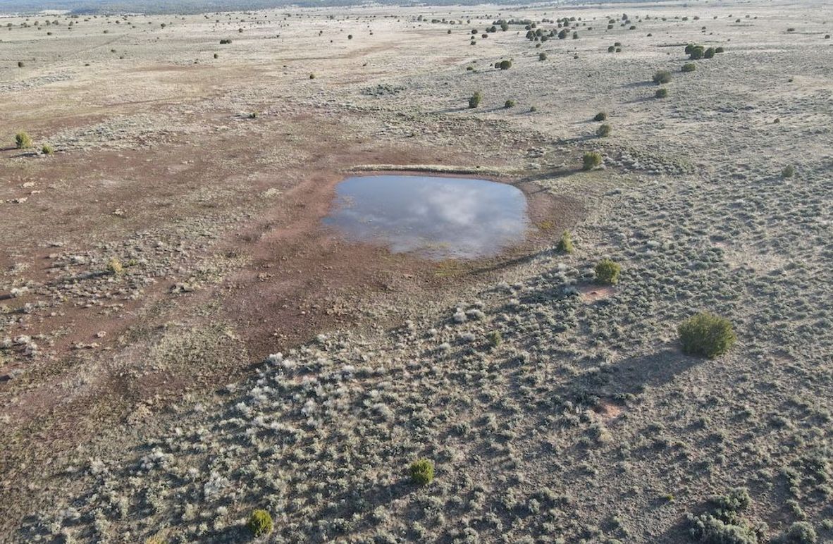 dji_fly_20240504_071738_302_1714828715805_photo